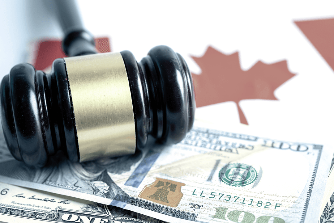 Northern Exposure: OSFI's Guidance on Third-Party Software Risk