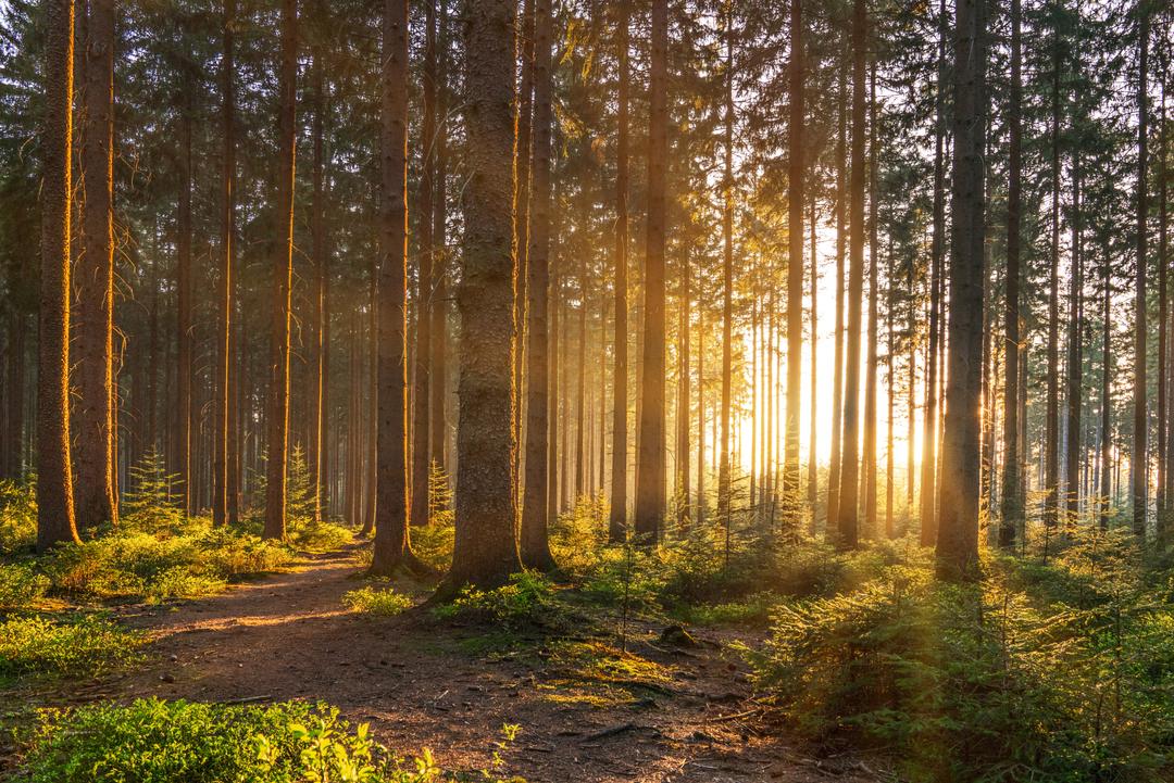 Residual Risk: Seeing The Forest Through The Trees